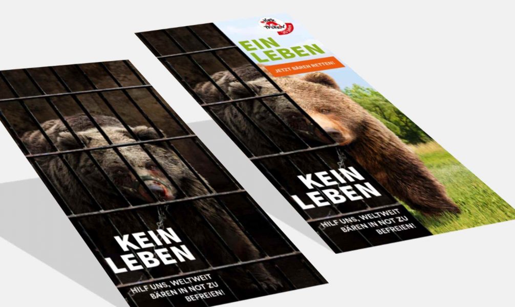 Eine Digitale Kampagne die einen gefangen und einen freien Bären zeigt.