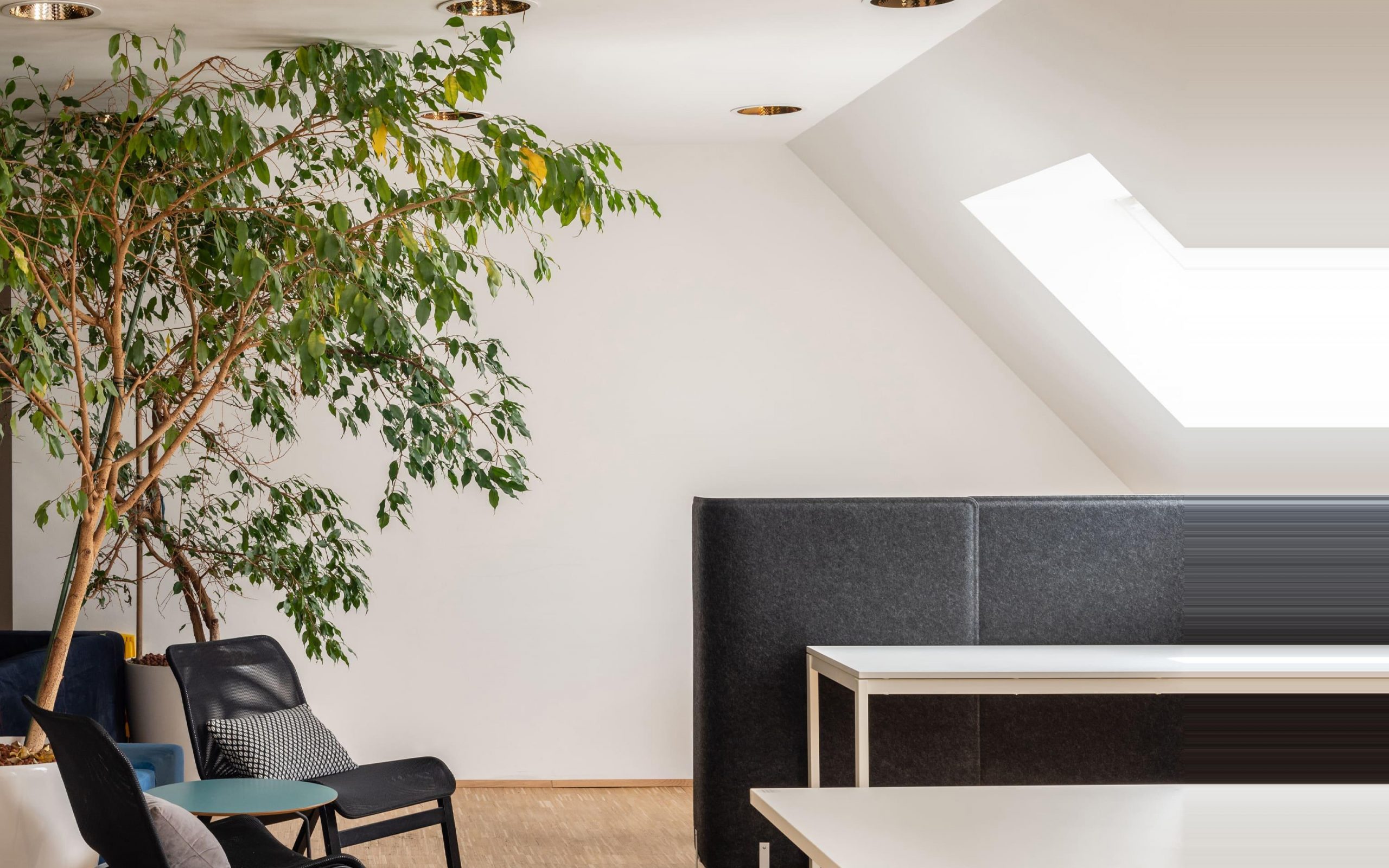 Two chairs under a palm tree in our digital agency to receive every contact and customer